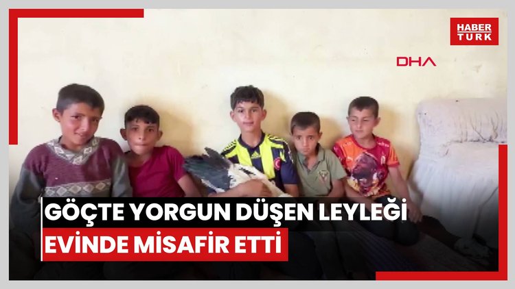 Göçte yorgun düşen leyleği evinde misafir etti