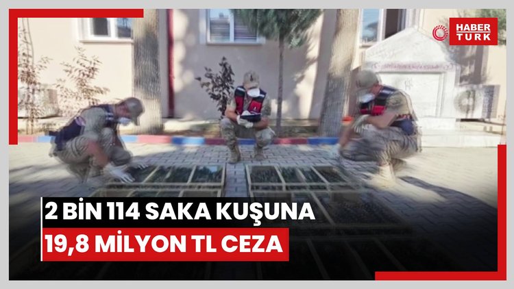 Suriye'ye geçirilmek istenen 2 bin 114 saka kuşuna 19 milyon 871 bin TL ceza