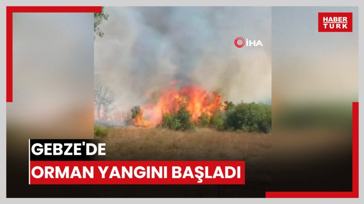 Gebze'de orman yangını başladı
