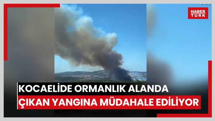 Kocaelide ormanlık alanda çıkan yangına müdahale ediliyor