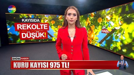 Video poster resmi