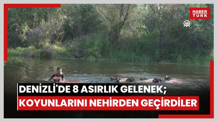 Denizli'de 8 asırlık gelenek; koyunlarını nehirden geçirdiler