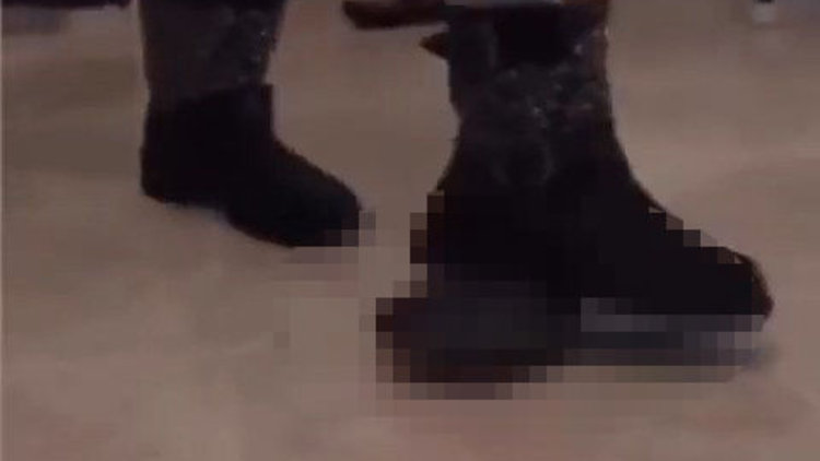 Zonguldak'ta kaplumbağayı ezerek öldürdü! 15 yıl sonra çıkan görüntüler şoke etti