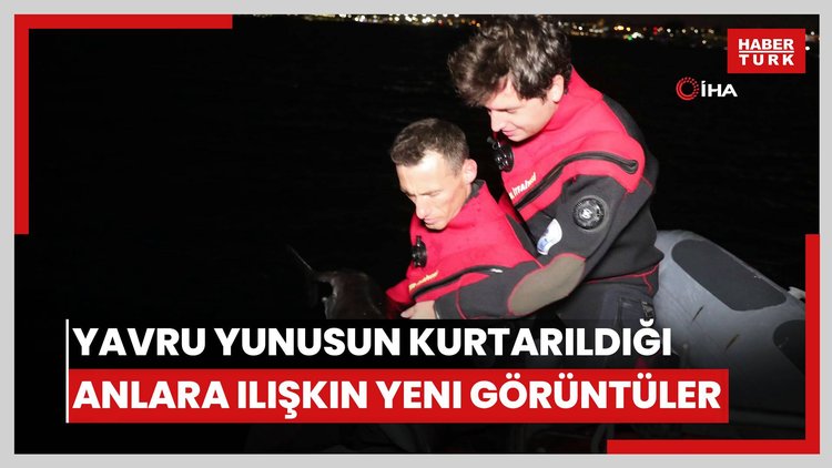 - Alibeyköy deresine sürüklenen yavru yunusun kurtarıldığı anlara ilişkin yeni görüntüleri ortaya çıktı