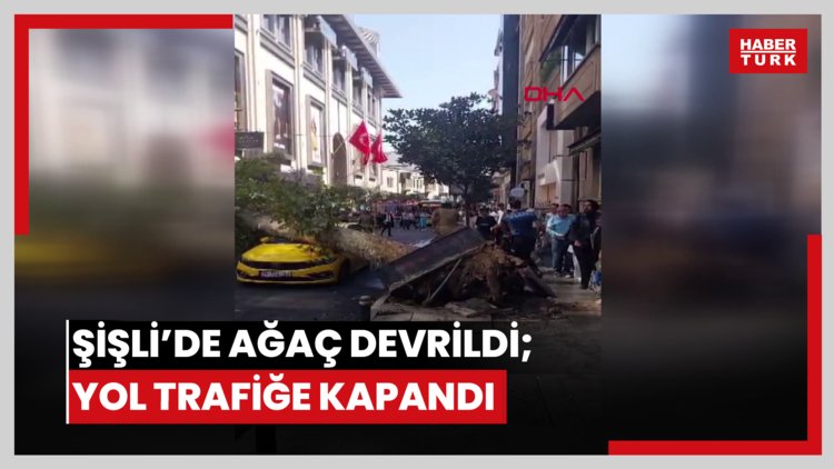 Şişli'de ağaç devrildi; yol trafiğe kapandı