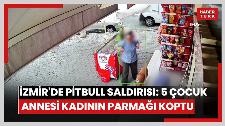 İzmir'de pitbull saldırısı: 5 çocuk annesi kadının parmağı koptu