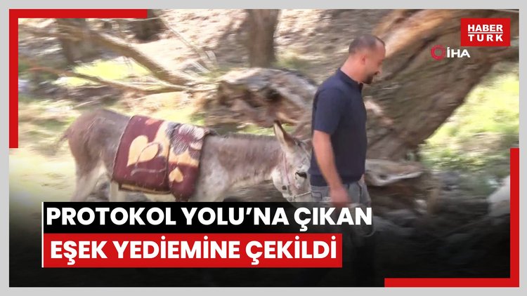 Protokol Yolu'na çıkan eşek yediemine çekildi