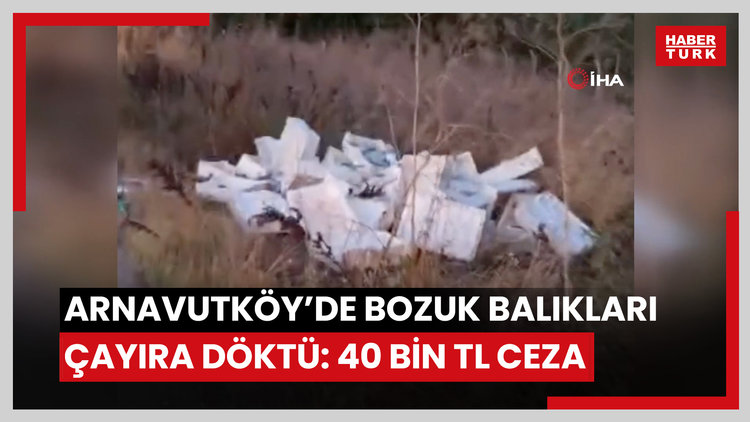 Arnavutköy'de onlarca bozuk balığı çayırlık alana döktü: 40 bin lira ceza