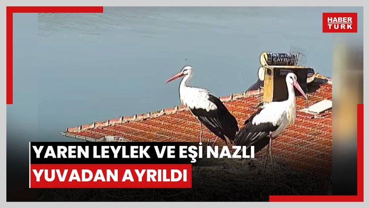 Yaren leylek ve eşi Nazlı yuvadan ayrıldı