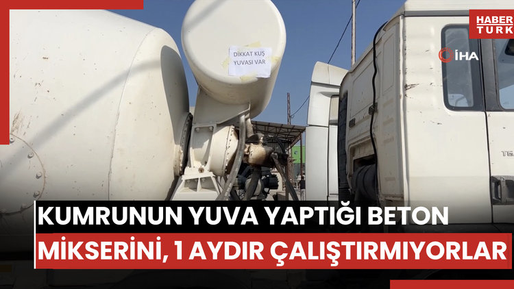 Kumrunun yuva yaptığı beton mikserini, 1 aydır çalıştırmıyorlar