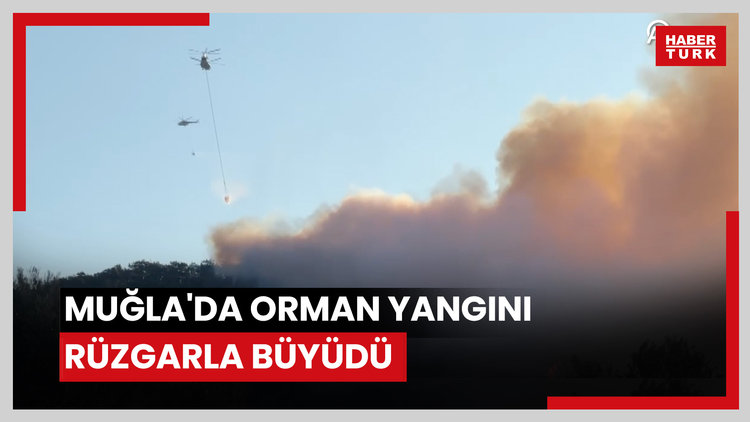 Muğla'da orman yangını rüzgarla büyüdü