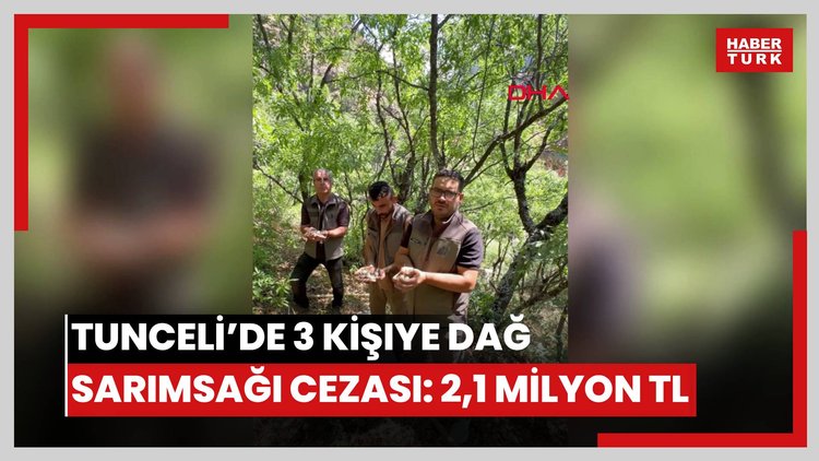Tunceli'de endemik dağ sarımsağı toplayan 3 kişiye 2 milyon 97 bin lira ceza