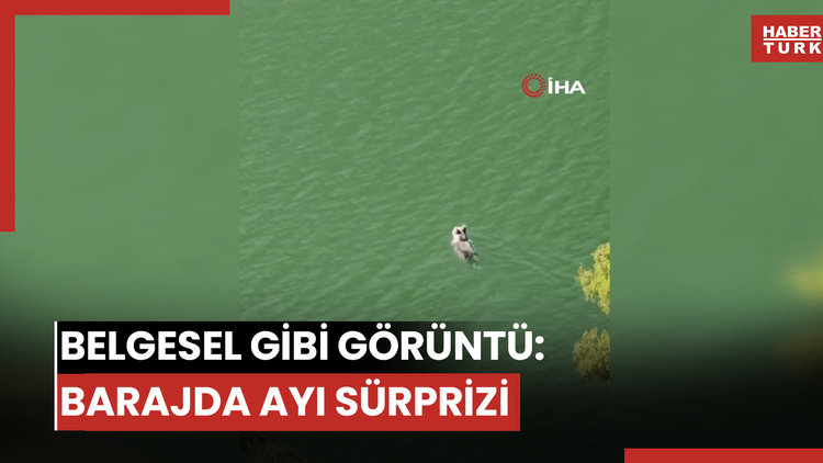 Belgesel gibi görüntü: Barajda ayı sürprizi