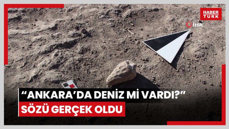 "Ankara'da deniz mi vardı?" sözü gerçek oldu: 66 milyon yıllık fosil bulundu