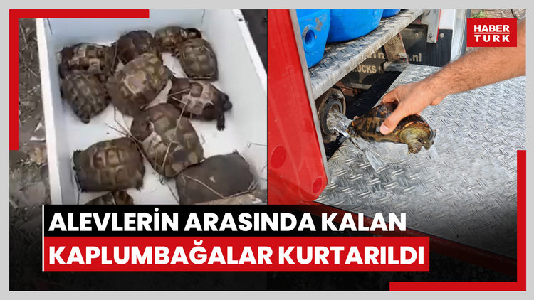 11 küçük cana itfaiye eli