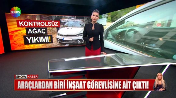 Kontrolsüz ağaç yıkımı!