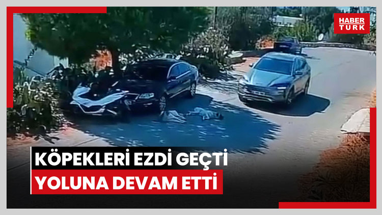 Vicdansız
