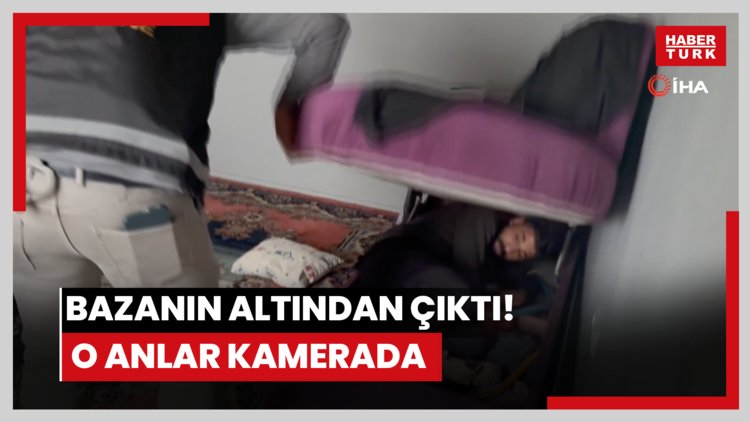 Bazanın altından çıktı! O anlar kamerada