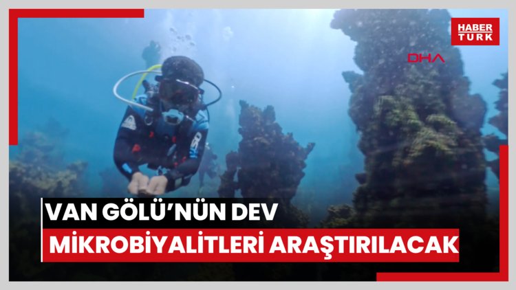 Van Gölü'ndeki dev mikrobiyalitlerin sırrı uluslararası ekiple araştırılacak