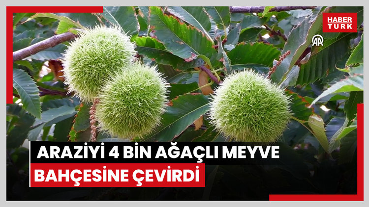Siirt'te 2,5 asırlık 'Işık Hadisesi' ilgiyle izlendi