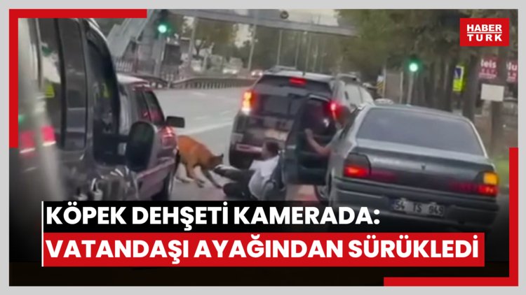 Köpek dehşeti kamerada: Vatandaşın ayağından ısırıp sürükledi