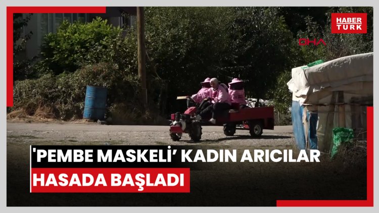 'Pembe maskeli' kadın arıcılar hasada başladı