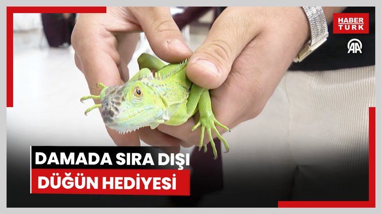 Damada sıra dışı düğün hediyesi