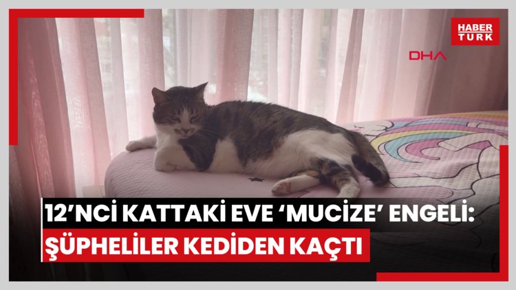 12'nci kattaki daireye 'Mucize' sayesinde giremediler; şüphelilerin kediden kaçtığı anlar kamerada
