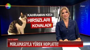 fragman