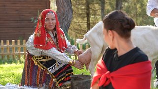 Feride gelin misafirleri için keçi sütü sağıyor!