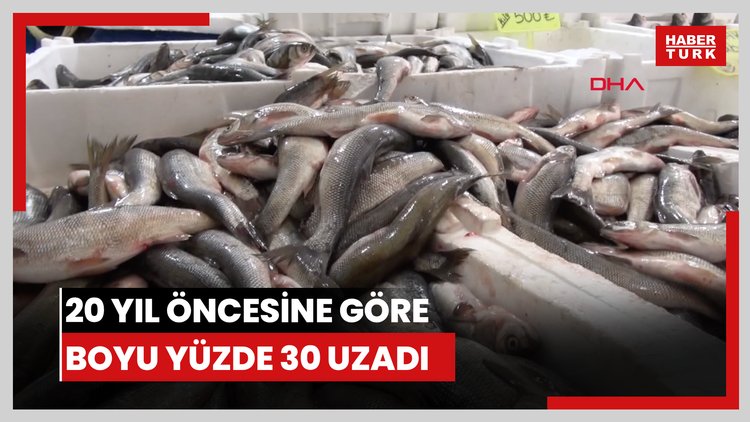 20 yıl öncesine göre boyu yüzde 30 uzadı