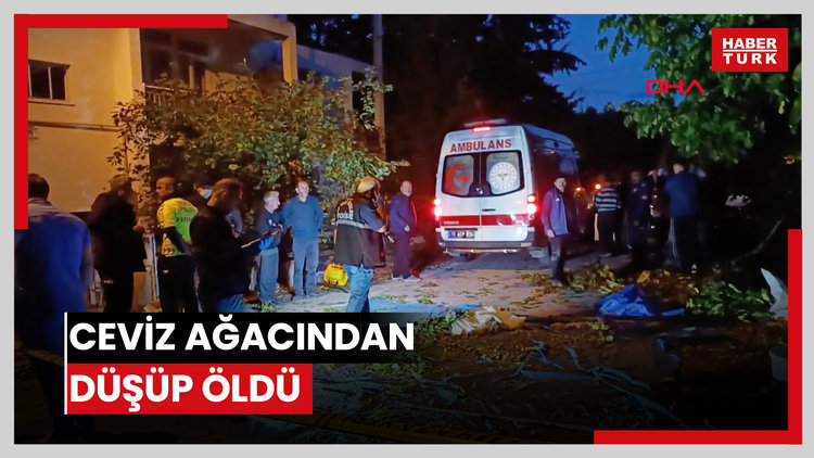 Ceviz ağacından düşüp öldü