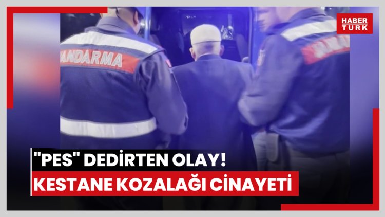 "Pes" dedirten olay! Kestane kozalağı cinayeti