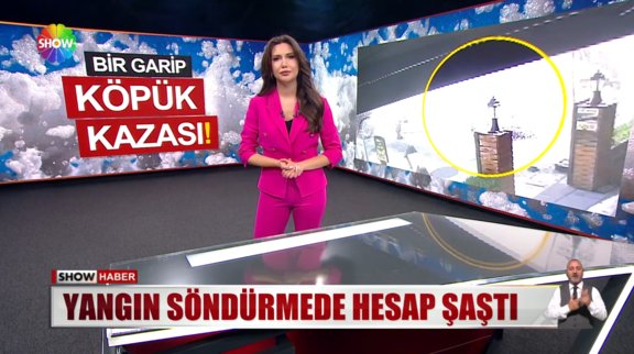 Sokak bir anda bembeyaz oldu!