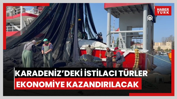 Karadeniz'deki istilacı türler avlanarak ekonomiye kazandırılacak
