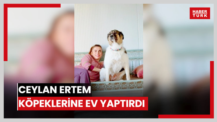 Ceylan Ertem köpeklerine ev yaptırdı