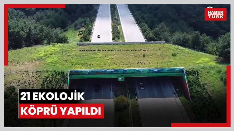 21 ekolojik köprü yapıldı