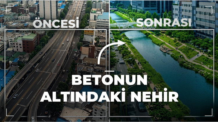 İstanbul'daki selin ardından dünyaya baktık: Dereler nasıl geri gelir?