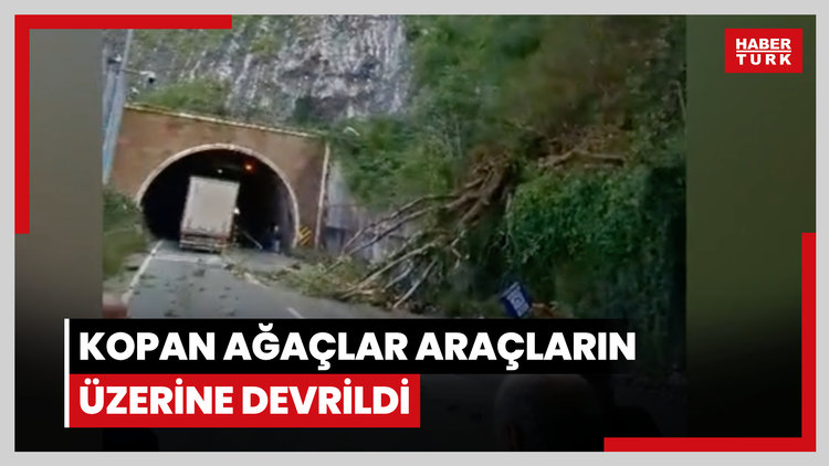 Kopan ağaçlar araçların üzerine devrildi