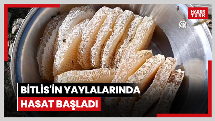 Bitlis'in yaylalarında hasat başladı