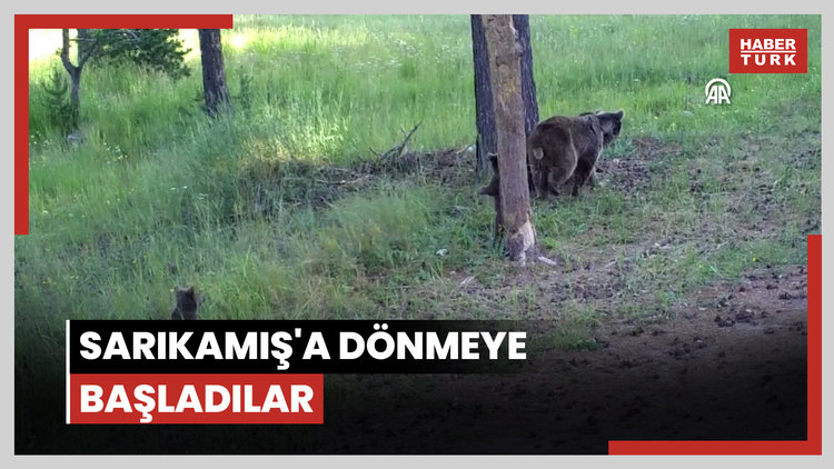 Sarıkamış'a dönmeye başladılar