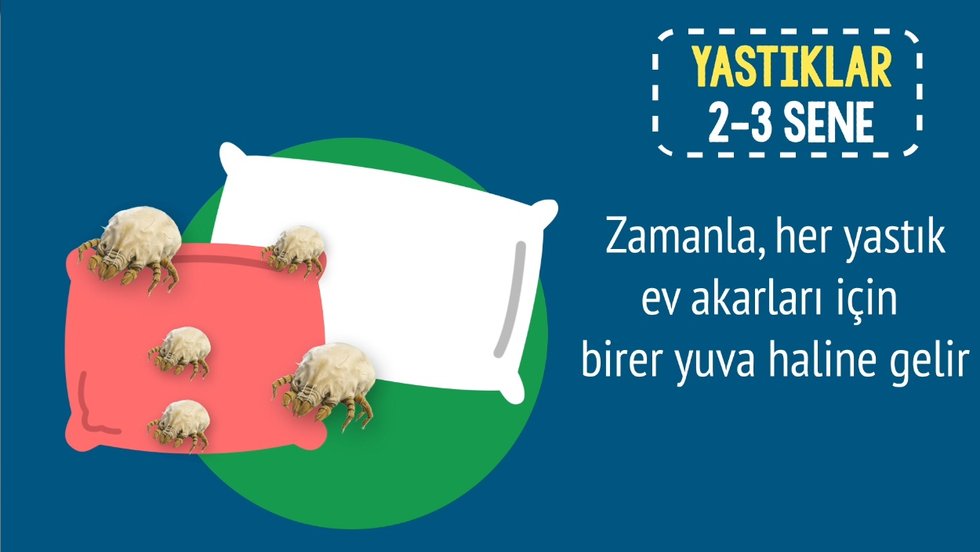 Son kullanma tarihleri ne zaman bitiyor?