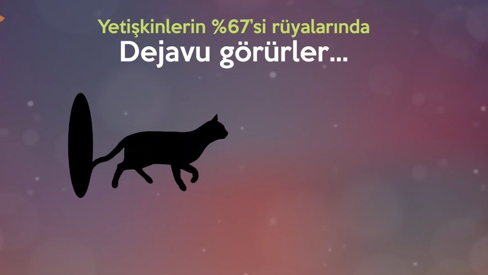 Rüyalar hakkında bilinmeyenler