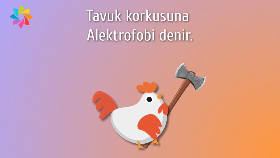 Hayvanlarla ilgili bilmediğiniz gerçekler