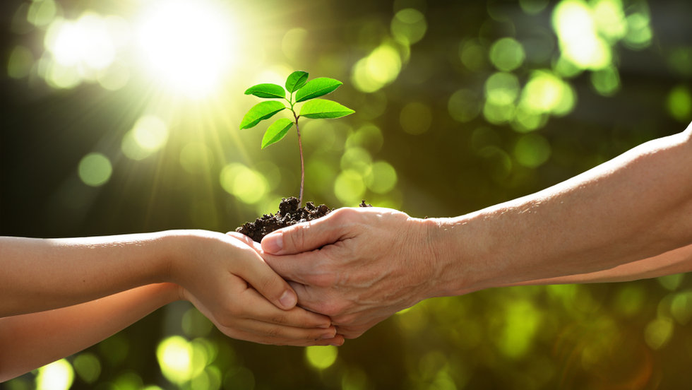 Eril-Dişil enerji nasıl dengelenir?